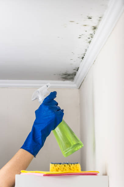 Best Biohazard Mold Removal  in Klamath Falls, OR